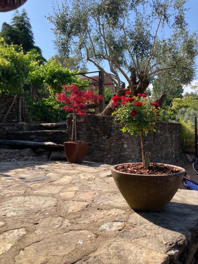 Casa Lia Da Porta Βίλα Caminha Εξωτερικό φωτογραφία