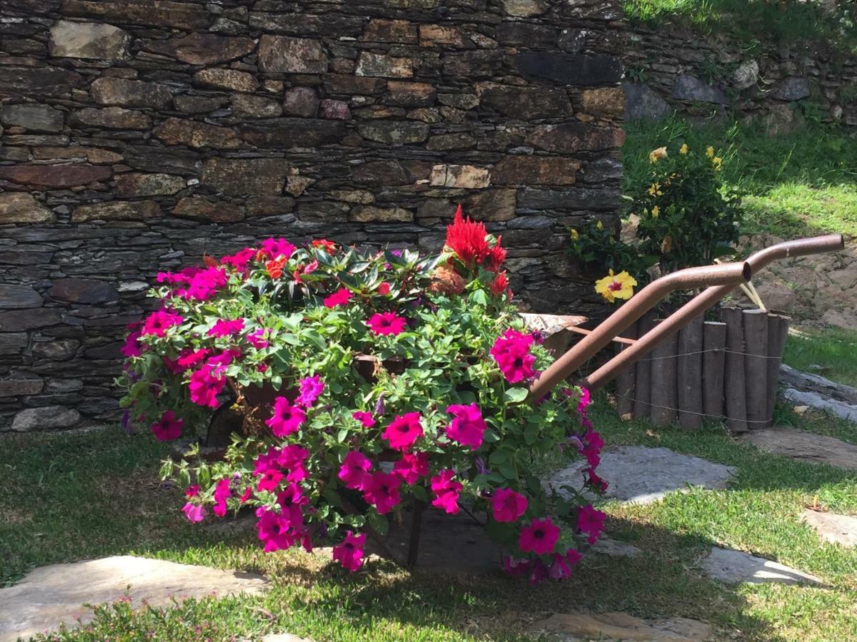 Casa Lia Da Porta Βίλα Caminha Εξωτερικό φωτογραφία